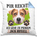 Jack Russel Besitzer Kissen mit Füllung 40x40 Geschenk Lustiger Spruch Geschenkidee Mir Reichts Ich Geh Zu Meinem Jack Russel (Grau) Blau Trendation