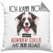 Border Collies Besitzer Kissen mit Füllung 40x40 Geschenk Lustiger Spruch Geschenkidee Ich Kann Nicht Mein Border Collies Hat Nein Gesagt (Grau) Grau Trendation