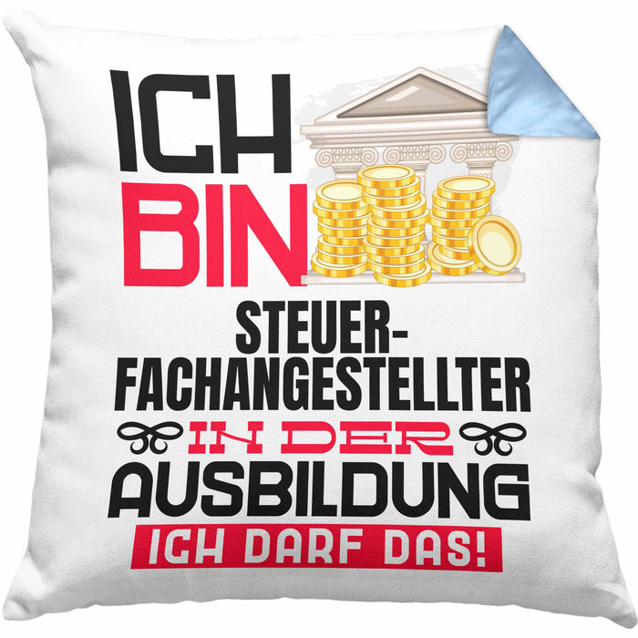 Steuerfachangestellter Ausbildung Kissen mit Füllung 40x40 Geschenk Ich Bin Steuerfachangestellter In Der Ausbildung Ich Darf Das Geschenkidee Spruch (Grau) Blau Trendation