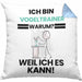 Vogeltrainer Geschenk Kissen mit Füllung 40x40 Lustiger Spruch Ich Bin Vogeltrainer Warum Weil Ich Es Kann Geschenkidee Bester Vogeltrainer Geburtstag (Grau) Blau Trendation