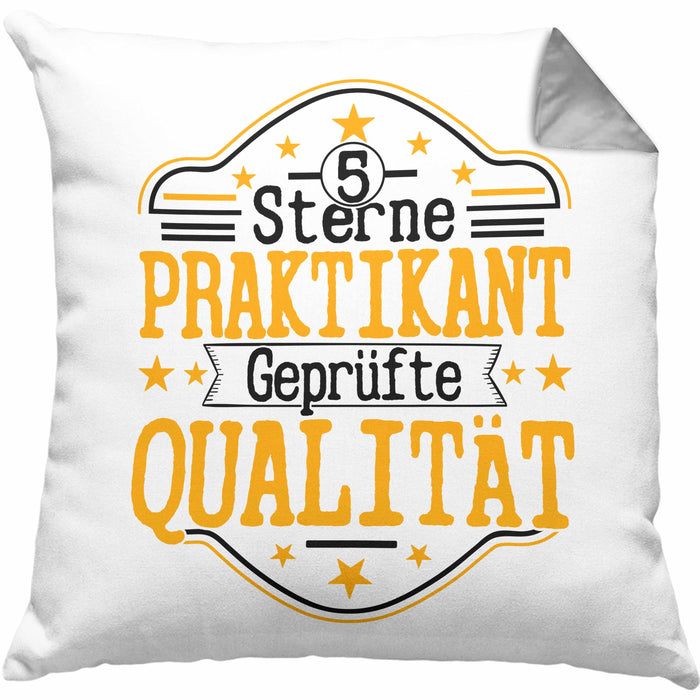 Praktikant Kissen mit Füllung 40x40 Geschenk Für Praktikanten Geschenkidee Geprüfte Qualität (Grau) Grau Trendation