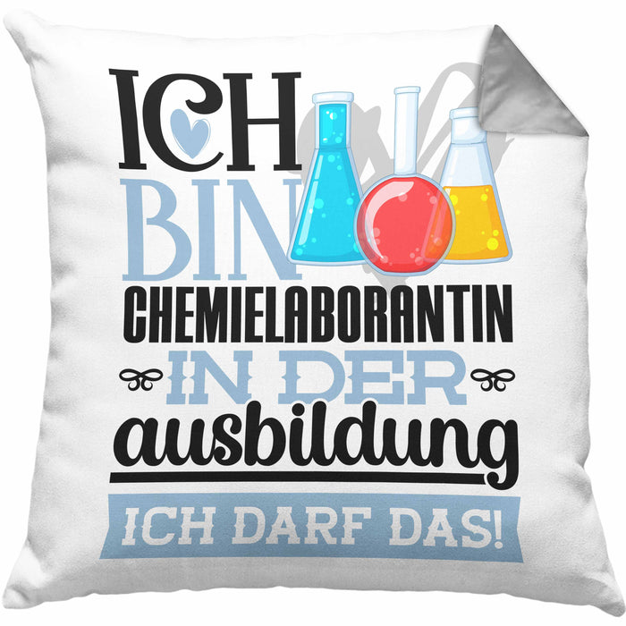Chemielaborantin Ausbildung Start Geschenk Kissen mit Füllung 40x40 Ich Bin Chemielaborantin In Der Ausbildung Ich Darf Das Geschenkidee (Grau) Grau Trendation