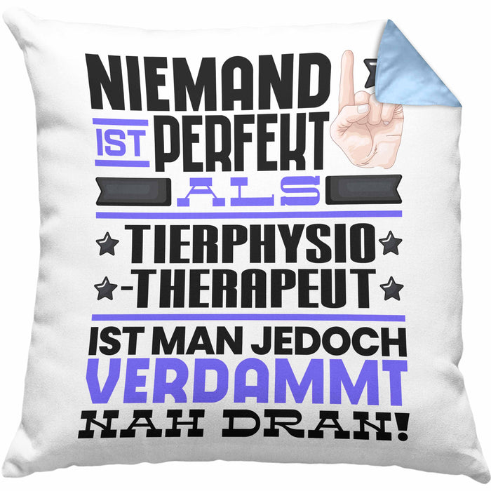 Tierphysiotherapeut Geschenk Kissen mit Füllung 40x40 Lustige Geschenkidee für Tierphysiotherapeut Geburtstag Niemand Ist Perfekt Aber Als Tierphysiotherapeut Ist Man Nah Dran (Grau) Blau Trendation