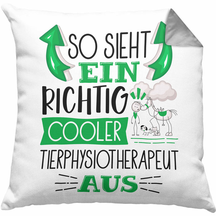 Tierphysiotherapeut Kissen mit Füllung 40x40 So Sieht Ein Richtig Cooler Tierphysiotherapeut Aus Geschenk Lustiger Spruch Geschenkidee (Grau) Grau Trendation