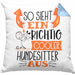 Hundesitter Kissen mit Füllung 40x40 So Sieht Ein Richtig Cooler Hundesitter Aus Geschenk Lustiger Spruch Geschenkidee (Grau) Blau Trendation