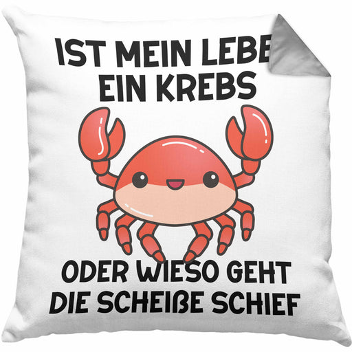 Dank Meme Kissen mit Füllung 40x40 Spruch Internet Meme Geschenkidee Depressionen Ist Mein Leben Ein Krebs Oder Wieso Geht Die SCH Schief? (Grau) Grau Trendation