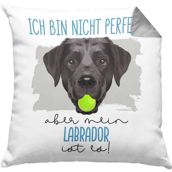 Labrador Besitzer Kissen mit Füllung 40x40 Geschenk Lustiger Spruch Geschenkidee Besitzerin Ich Bin Nicht toll Aber Mein Labrador Ist Es (Grau) Grau Trendation
