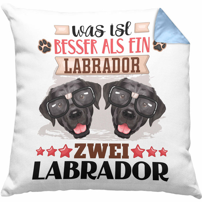 Labrador Besitzer Kissen mit Füllung 40x40 Geschenk Lustiger Spruch Geschenkidee Was Ist Besser Als Ein Labrador (Grau) Blau Trendation