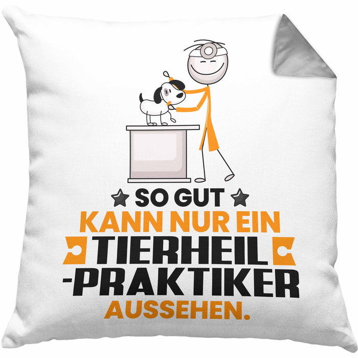 Tierheilpraktiker Geschenk Kissen mit Füllung 40x40 So Gut Kann Nur Ein Tierheilpraktiker Aussehen Geschenkidee (Grau) Grau Trendation