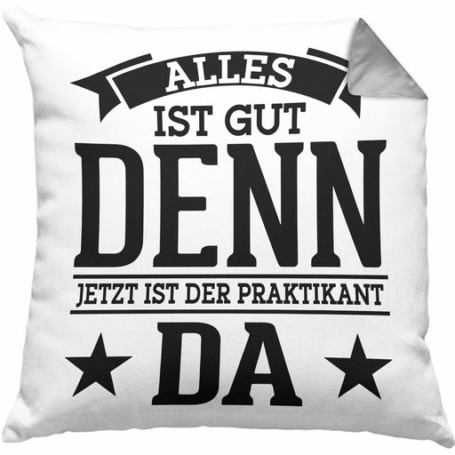 Praktikant Kissen mit Füllung 40x40 Geschenk Lustiger Spruch Alles Gut Denn Jetzt Ist Der Praktikant Da (Grau) Grau Trendation