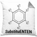 Chemie Kissen mit Füllung 40x40 SubstituENTEN Chemiker Witz Organische Chemie Ente Kaffee Geschenkidee (Grau) Grau Trendation