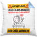 Tierphysiotherapeut Kissen mit Füllung 40x40 Geschenk Lustiger Spruch Geschenkidee für Tierphysiotherapeut Achtung Hochleistungs Tierphysiotherapeut Bei Der Arbeit (Grau) Blau Trendation