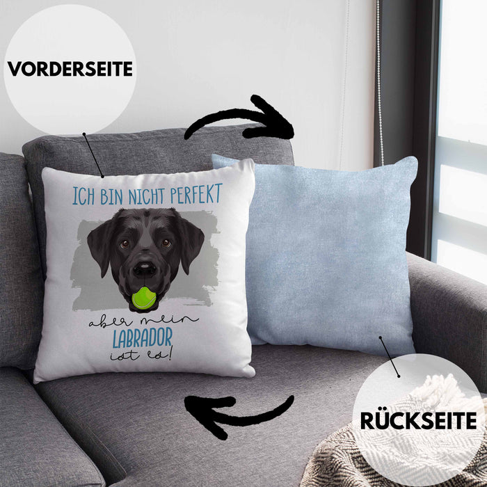 Labrador Besitzer Kissen mit Füllung 40x40 Geschenk Lustiger Spruch Geschenkidee Besitzerin Ich Bin Nicht toll Aber Mein Labrador Ist Es (Grau) Blau Trendation
