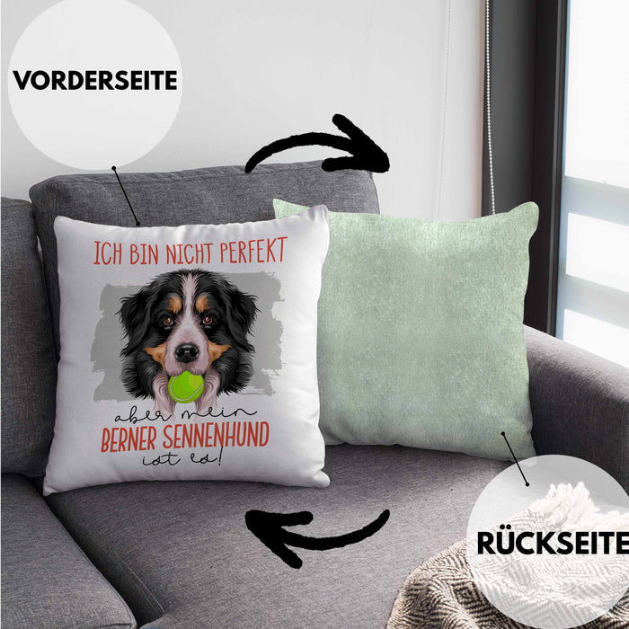Berner Sennen Besitzer Kissen mit Füllung 40x40 Geschenk Lustiger Spruch Geschenkidee Besitzerin Ich Bin Nicht toll Aber Mein Berner Sennen Ist Es (Grau) Grün Trendation