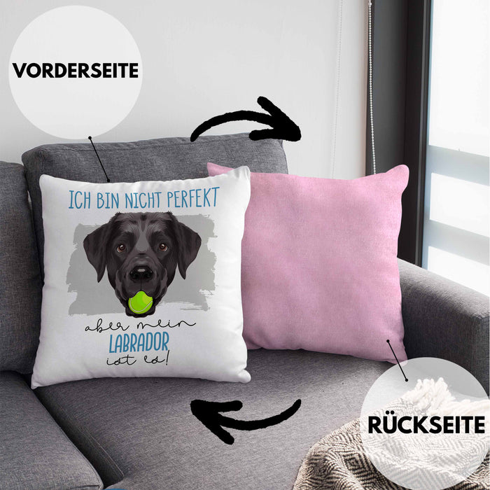 Labrador Besitzer Kissen mit Füllung 40x40 Geschenk Lustiger Spruch Geschenkidee Besitzerin Ich Bin Nicht toll Aber Mein Labrador Ist Es (Grau) Rosa Trendation