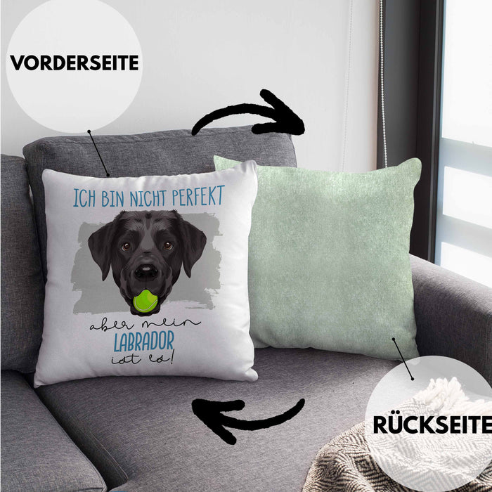 Labrador Besitzer Kissen mit Füllung 40x40 Geschenk Lustiger Spruch Geschenkidee Besitzerin Ich Bin Nicht toll Aber Mein Labrador Ist Es (Grau) Grün Trendation