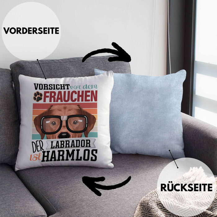 Labrador Besitzerin Frauchen Kissen mit Füllung 40x40 Geschenk Lustiger Spruch Geschenkidee Vorsicht Vor Dem Frauchen (Grau) Blau Trendation