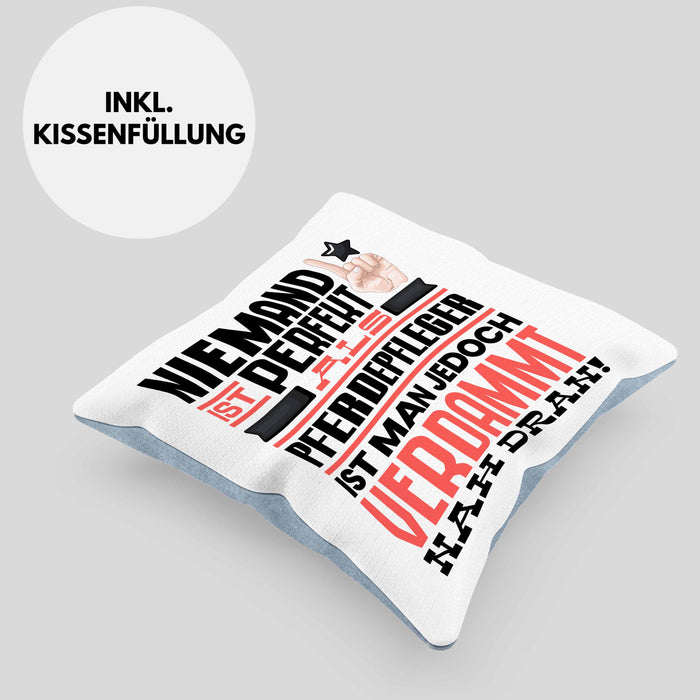 Pferdepfleger Geschenk Kissen mit Füllung 40x40 Lustige Geschenkidee für Pferdepfleger Geburtstag Niemand Ist Perfekt Aber Als Pferdepfleger Ist Man Nah Dran (Grau) Blau Trendation