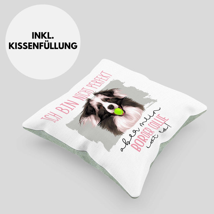 Border Collies Besitzer Kissen mit Füllung 40x40 Geschenk Lustiger Spruch Geschenkidee Besitzerin Ich Bin Nicht toll Aber Mein Border Collies Ist Es (Grau) Grün Trendation