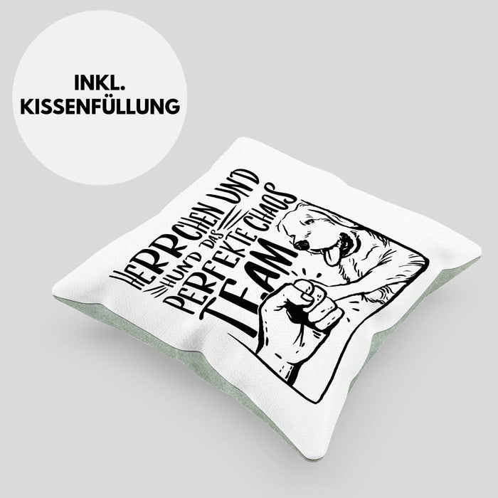 Herrchen Und Hund Das Perfekte Choas Team Kissen mit Füllung 40x40 Geschenk für Hundebesitzer Geschenkidee (Grau) Grün Trendation