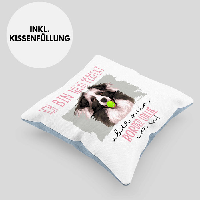 Border Collies Besitzer Kissen mit Füllung 40x40 Geschenk Lustiger Spruch Geschenkidee Besitzerin Ich Bin Nicht toll Aber Mein Border Collies Ist Es (Grau) Blau Trendation