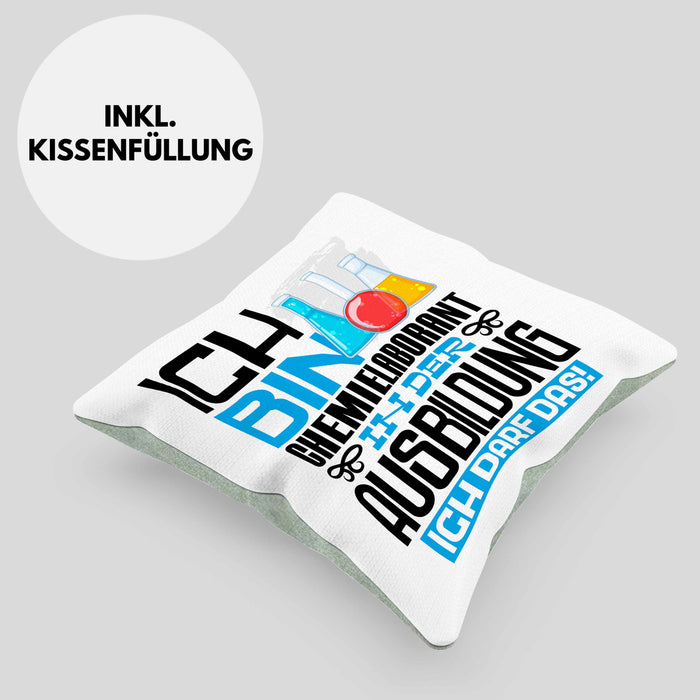 Chemielaborant Ausbildung Kissen mit Füllung 40x40 Geschenk Ich Bin Chemielaborant In Der Ausbildung Ich Darf Das Geschenkidee Spruch (Grau) Grün Trendation