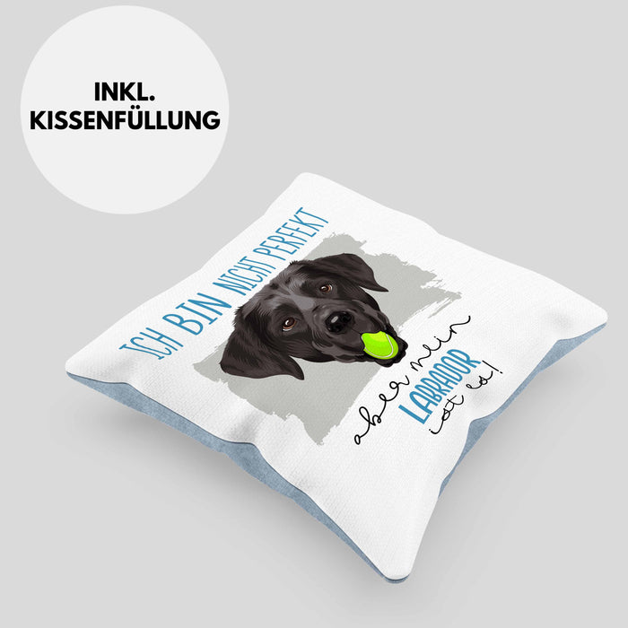 Labrador Besitzer Kissen mit Füllung 40x40 Geschenk Lustiger Spruch Geschenkidee Besitzerin Ich Bin Nicht toll Aber Mein Labrador Ist Es (Grau) Blau Trendation