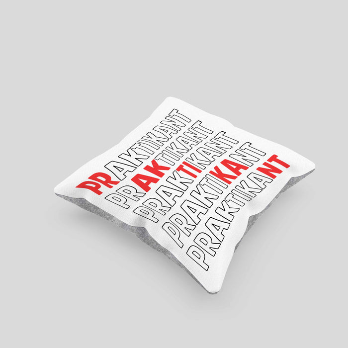 Praktikant Kissen mit Füllung 40x40 Geschenk Lustiger Spruch (Grau) Grau Trendation