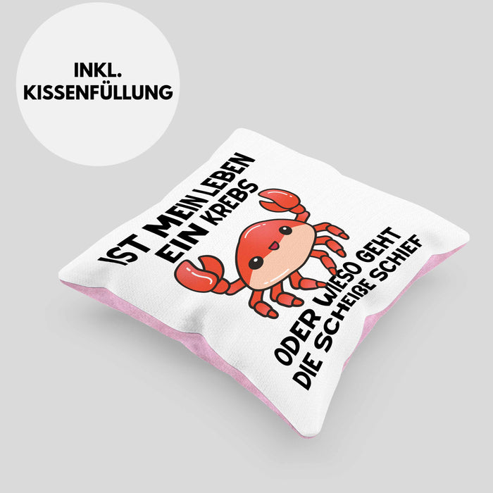 Dank Meme Kissen mit Füllung 40x40 Spruch Internet Meme Geschenkidee Depressionen Ist Mein Leben Ein Krebs Oder Wieso Geht Die SCH Schief? (Grau) Rosa Trendation