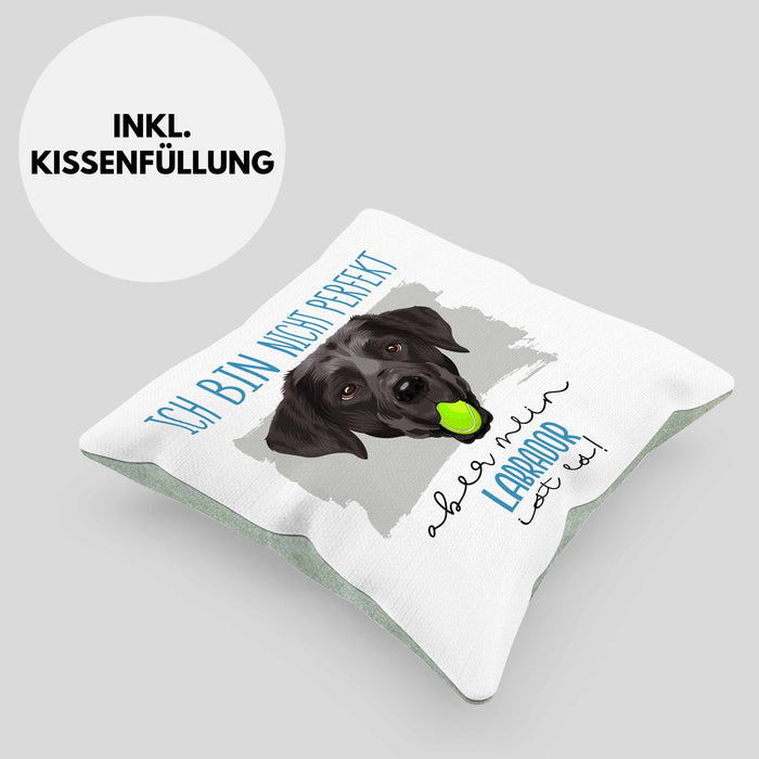 Labrador Besitzer Kissen mit Füllung 40x40 Geschenk Lustiger Spruch Geschenkidee Besitzerin Ich Bin Nicht toll Aber Mein Labrador Ist Es (Grau) Grün Trendation