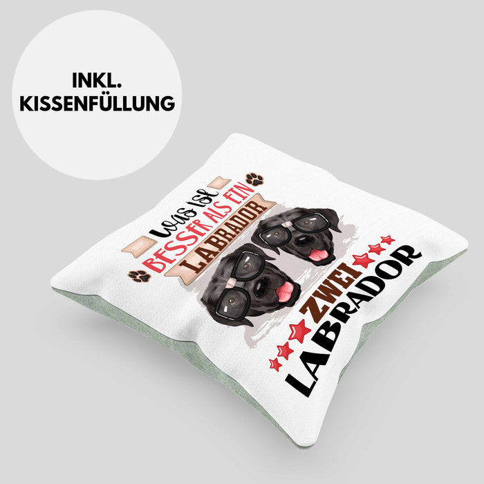 Labrador Besitzer Kissen mit Füllung 40x40 Geschenk Lustiger Spruch Geschenkidee Was Ist Besser Als Ein Labrador (Grau) Grün Trendation
