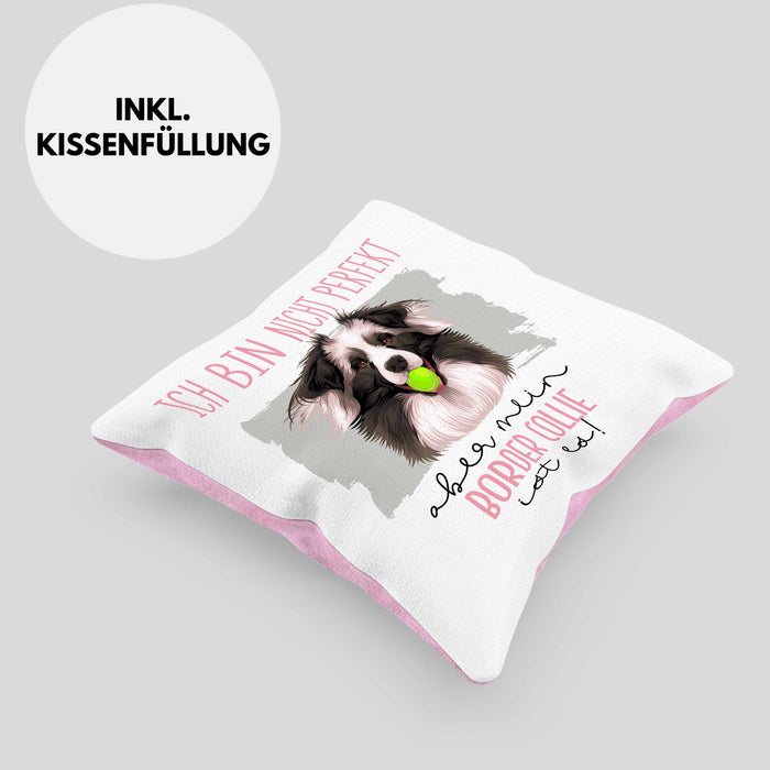 Border Collies Besitzer Kissen mit Füllung 40x40 Geschenk Lustiger Spruch Geschenkidee Besitzerin Ich Bin Nicht toll Aber Mein Border Collies Ist Es (Grau) Rosa Trendation