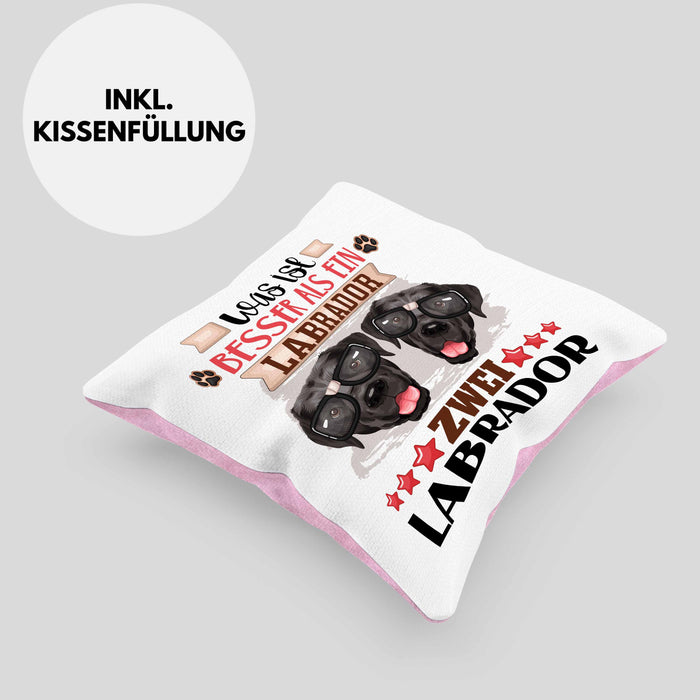 Labrador Besitzer Kissen mit Füllung 40x40 Geschenk Lustiger Spruch Geschenkidee Was Ist Besser Als Ein Labrador (Grau) Rosa Trendation
