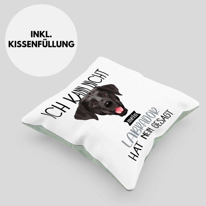 Labrador Besitzer Kissen mit Füllung 40x40 Geschenk Lustiger Spruch Geschenkidee Ich Kann Nicht Mein Labrador Hat Nein Gesagt (Grau) Grün Trendation