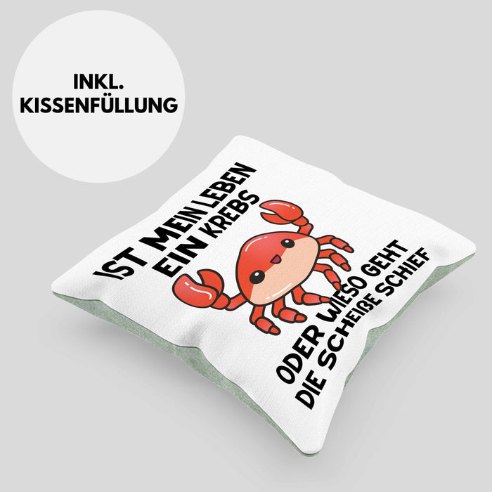 Dank Meme Kissen mit Füllung 40x40 Spruch Internet Meme Geschenkidee Depressionen Ist Mein Leben Ein Krebs Oder Wieso Geht Die SCH Schief? (Grau) Grün Trendation