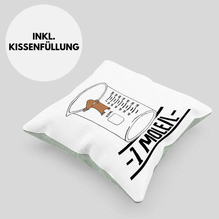 Chemiker Kissen mit Füllung 40x40 Lustiger Maulwurf Mole Per Liter Chemie Avogadro's Chemiker Kissen mit Füllung 40x40 (Grau) Grün Trendation
