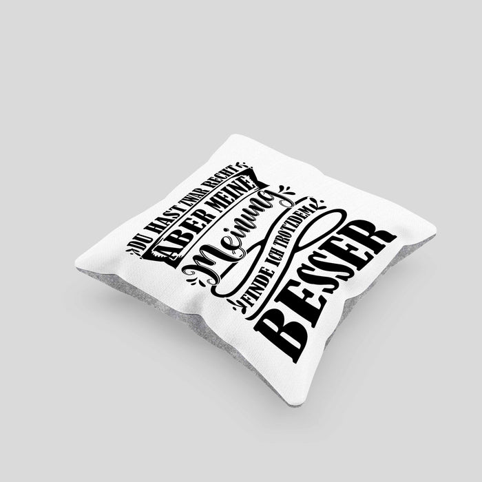 Du Hast Zwar Recht Aber Meine Meinung Finde Ich Trotzdem Besser Kissen mit Füllung 40x40 Geschenk Lustiger Spruch Häferl (Grau) Grau Trendation