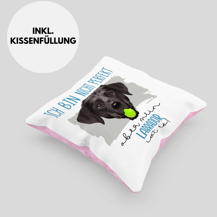 Labrador Besitzer Kissen mit Füllung 40x40 Geschenk Lustiger Spruch Geschenkidee Besitzerin Ich Bin Nicht toll Aber Mein Labrador Ist Es (Grau) Rosa Trendation