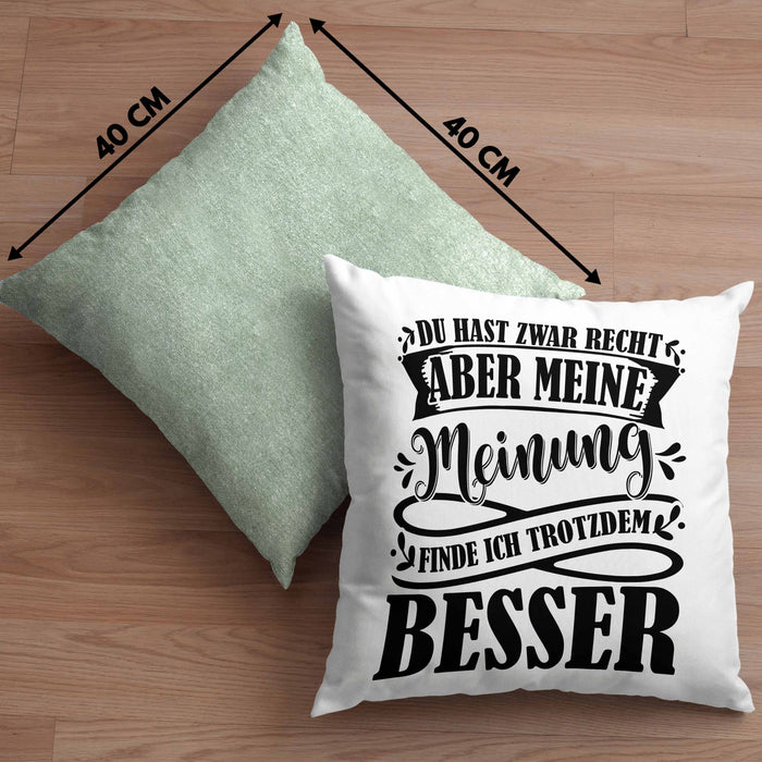 Du Hast Zwar Recht Aber Meine Meinung Finde Ich Trotzdem Besser Kissen mit Füllung 40x40 Geschenk Lustiger Spruch Häferl (Grau) Grün Trendation