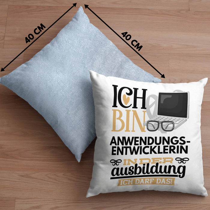 Anwendungsentwicklerin Ausbildung Start Geschenk Kissen mit Füllung 40x40 Ich Bin Anwendungsentwicklerin In Der Ausbildung Ich Darf Das Geschenkidee (Grau) Blau Trendation