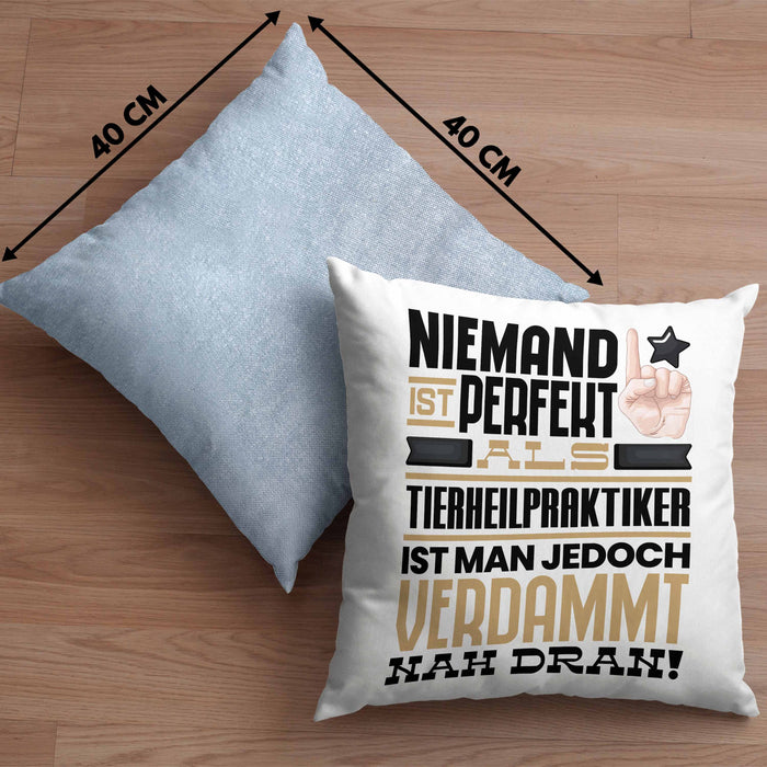 Tierheilpraktiker Geschenk Kissen mit Füllung 40x40 Lustige Geschenkidee für Tierheilpraktiker Geburtstag Niemand Ist Perfekt Aber Als Tierheilpraktiker Ist Man Nah Dran (Grau) Blau Trendation