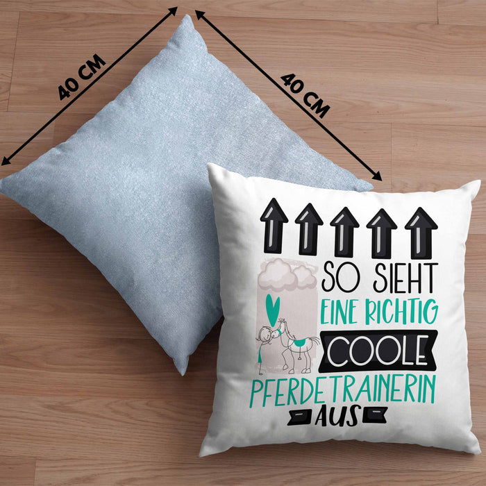 Pferdetrainerin Geschenk Kissen mit Füllung 40x40 Lustig Geschenkidee für Pferdetrainerin Geburtstag So Sieht Eine Richtig Coole Pferdetrainerin Aus Frauen Spruch (Grau) Blau Trendation