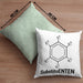 Chemie Kissen mit Füllung 40x40 SubstituENTEN Chemiker Witz Organische Chemie Ente Kaffee Geschenkidee (Grau) Grün Trendation