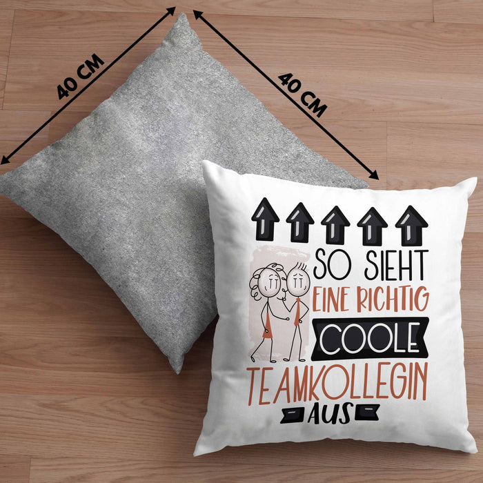 Teamkollegin Geschenk Kissen mit Füllung 40x40 Lustig Geschenkidee für Teamkollegin Geburtstag So Sieht Eine Richtig Coole Teamkollegin Aus Frauen Spruch (Grau) Grau Trendation