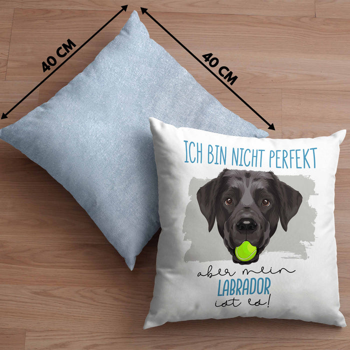 Labrador Besitzer Kissen mit Füllung 40x40 Geschenk Lustiger Spruch Geschenkidee Besitzerin Ich Bin Nicht toll Aber Mein Labrador Ist Es (Grau) Blau Trendation
