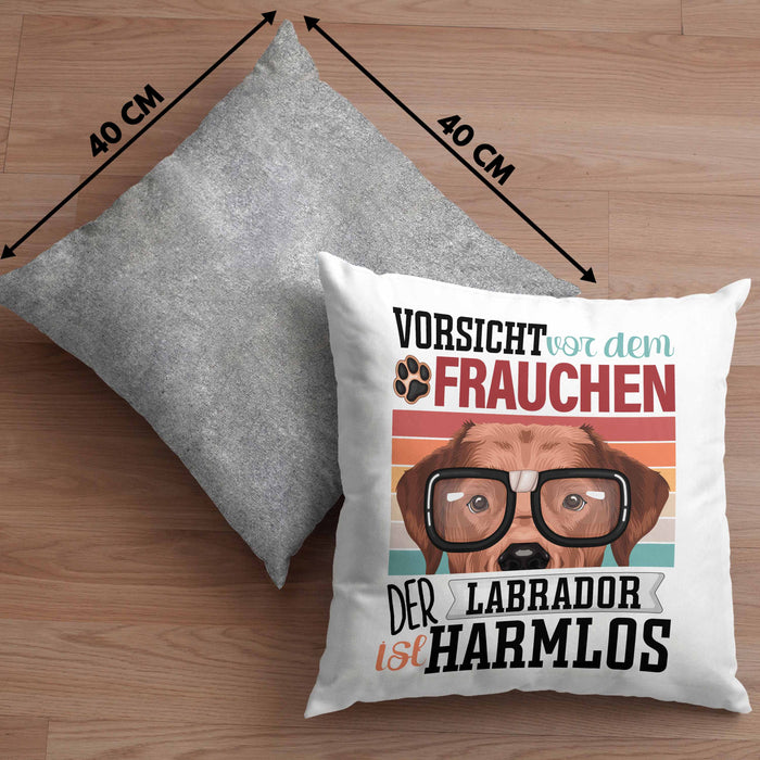 Labrador Besitzerin Frauchen Kissen mit Füllung 40x40 Geschenk Lustiger Spruch Geschenkidee Vorsicht Vor Dem Frauchen (Grau) Grau Trendation