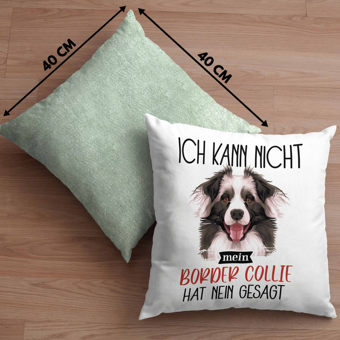 Border Collies Besitzer Kissen mit Füllung 40x40 Geschenk Lustiger Spruch Geschenkidee Ich Kann Nicht Mein Border Collies Hat Nein Gesagt (Grau) Grün Trendation
