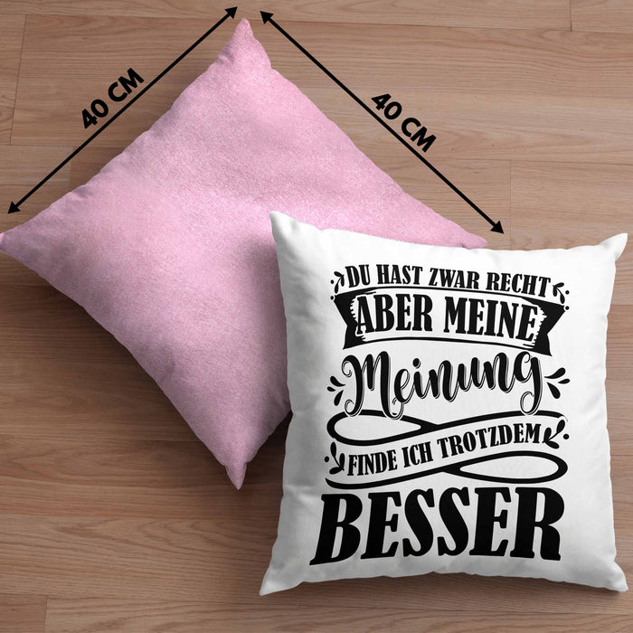 Du Hast Zwar Recht Aber Meine Meinung Finde Ich Trotzdem Besser Kissen mit Füllung 40x40 Geschenk Lustiger Spruch Häferl (Grau) Rosa Trendation