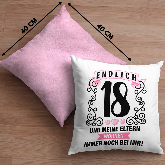 18er Geburtstag Kissen mit Füllung 40x40 Geschenk Mädchen Jungen Geschenkidee Lustig Spruch 18 Geschenke Geschenkideen zum 18 Bday 18. (Grau) Rosa Trendation