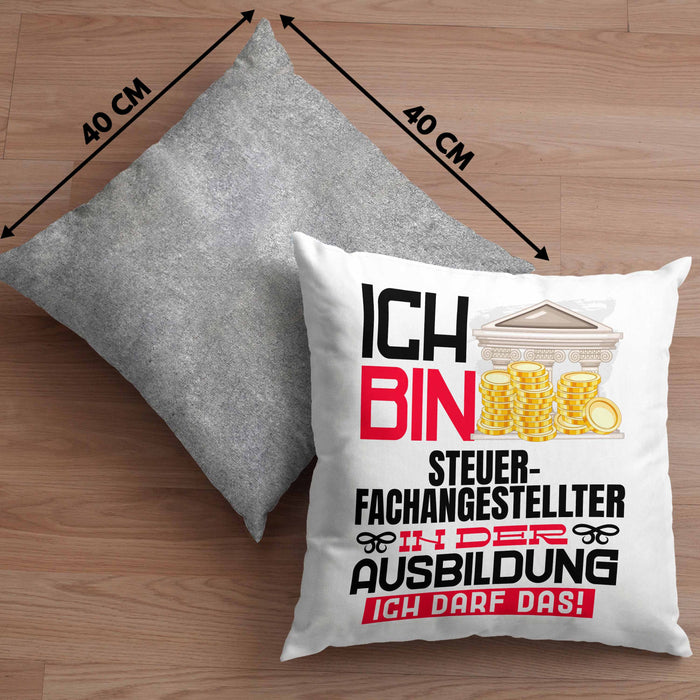 Steuerfachangestellter Ausbildung Kissen mit Füllung 40x40 Geschenk Ich Bin Steuerfachangestellter In Der Ausbildung Ich Darf Das Geschenkidee Spruch (Grau) Grau Trendation